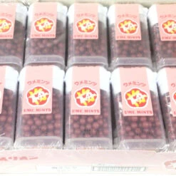 Dagashi Orion Ume Mints Plum Flavored Mini Candy 1 Box (30 Pieces) Japanese Dagashi Snack -Calbee shop 49598667 32e5dbc61d5a18d4bc57c229ad28dc29 68185.1700181905