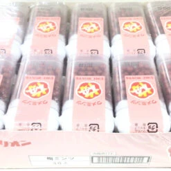 Dagashi Orion Ume Mints Plum Flavored Mini Candy 1 Box (30 Pieces) Japanese Dagashi Snack